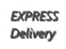 Express Delivery